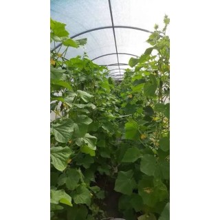 Теплица каркасная из поликарбоната 3х4 м, высота 2,1 м (модульная) - 