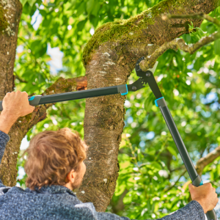 Гілкоріз Gardena EnergyCut Pro L, з ковадлом, 50 мм, L=750 мм (аналог 12008) -