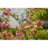 Секатор Gardena EasyCut обвідний, 20 мм (аналог 08754)