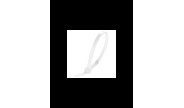 Хомут нейлоновий 3*250 білий (SOKOL) (100) Хомут нейлоновий 3*250 білий (SOKOL) (100)